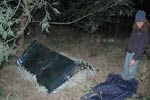 Survival Training