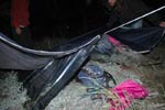 Survival Training