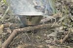 Survival Training