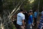Survival Training