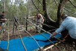 Survival Training