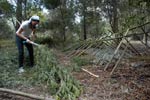 Survival Training