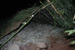 Survival Training