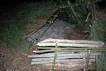 Survival Training