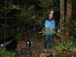 Survival Training