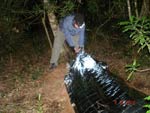 Survival Training