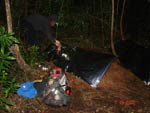 Survival Training