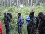 Survival Training