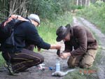 Survival Training