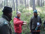 Survival Training