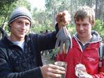Survival Training
