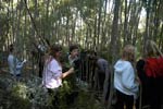 Survival Training