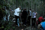 Survival Training
