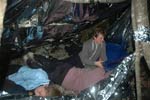 Survival Training