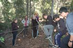 Survival Training
