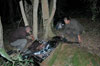 Survival Training