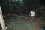 Survival Training