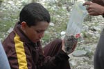 Survival Training