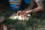 Survival Training