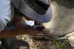 Survival Training