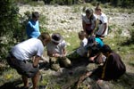 Survival Training