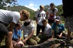 Survival Training