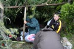 Survival Training