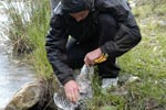 Survival Training