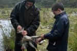 Survival Training