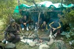 Survival Training