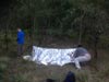 Survival Training
