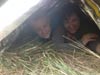 Survival Training