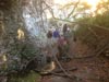 Survival Training