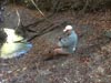 Survival Training
