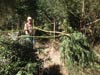 Survival Training