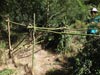 Survival Training