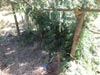 Survival Training