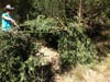 Survival Training
