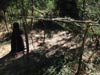 Survival Training