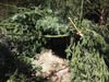 Survival Training