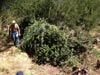 Survival Training