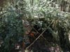 Survival Training