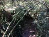 Survival Training