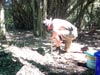 Survival Training