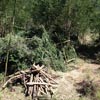 Survival Training