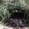 Survival Training