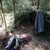 Survival Training