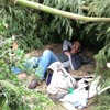 Survival Training