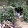Survival Training