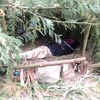 Survival Training